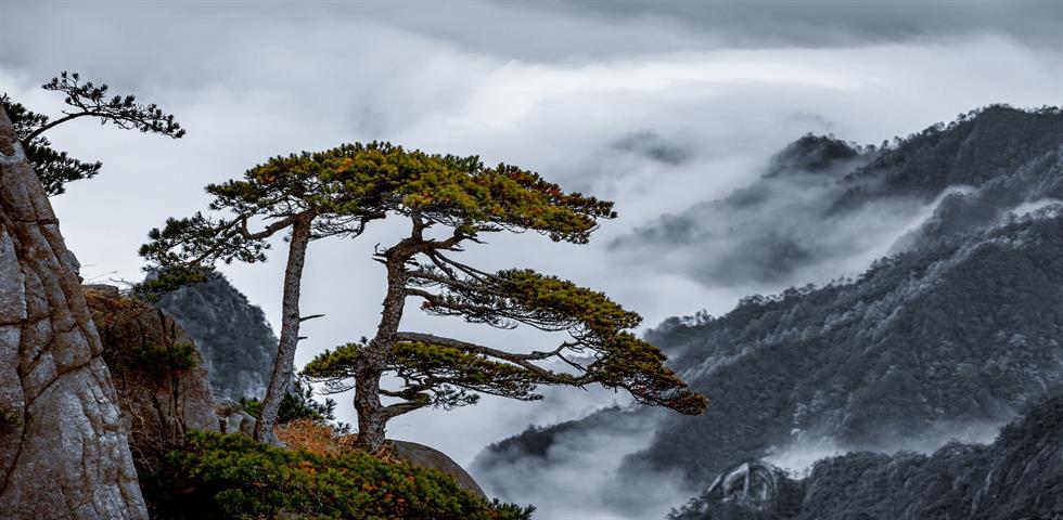 황산_신규