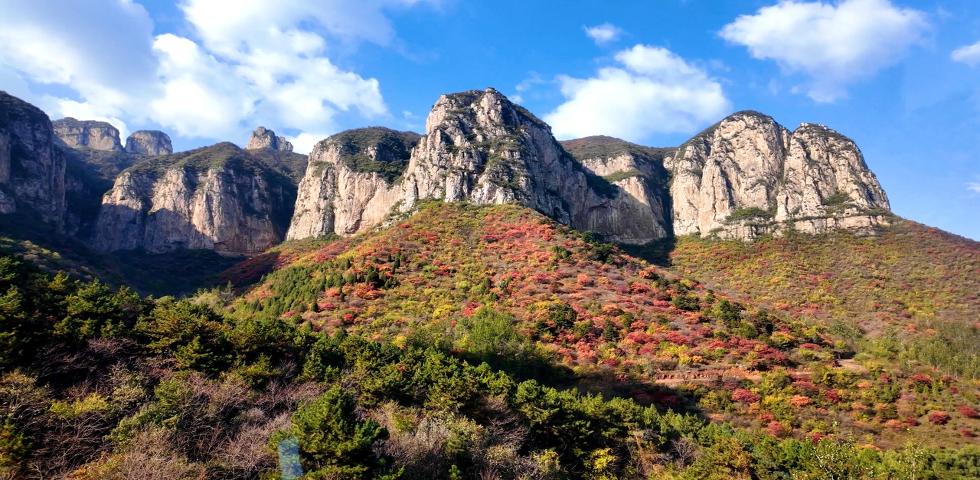 오지산